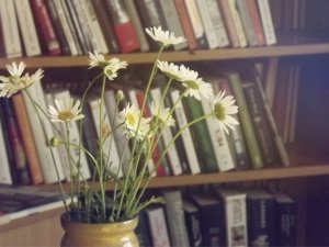 Noskaidrotas bibliotēkās visvairāk lasītās grāmatas