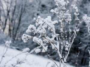 Notiks Ziemas deju diena Mores pagasta Tautas namā