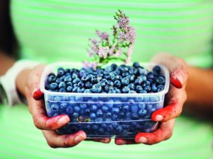 2017.gads Siguldā tiek veltīts gastronomijai