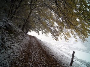 Brauktuvju un ietvju kopšanā trešdien iesaistītas 10 tehnikas vienības