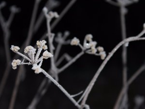 Februārī turpinās tikšanās vakaru cikli