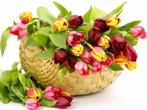 Siguldas novada iedzīvotājas svin 101 un 103 gadu jubilejas