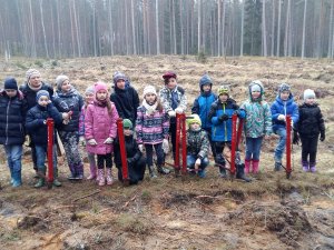 Allažu pamatskolas skolēni stāda mežu