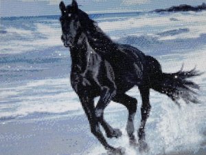 Ligitas Rozes dimanta izšuvumu mozaīku izstāde