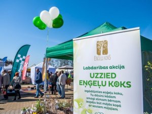 Stādu parādē notiks gadskārtējā labdarības akcija „Uzzied eņģeļu koks”