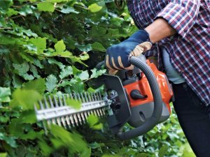 Privātīpašniekus aicina sakopt savus īpašumus