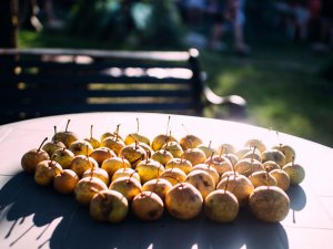 Aicina pieteikties ēdināšanas pakalpojumu sniedzējus saulgriežu pasākumam