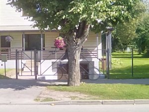 Paziņojums par koka plānotās nociršanas apspriešanu