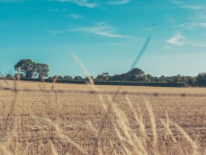 Izsludināts konkurss „Latvijas lauki gadsimtu griežos”
