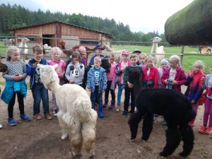 Siguldas pilsētas vidusskolas 2.C klases ekskursija atpūtas kompleksā „Rakši”