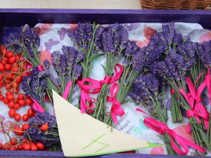 Bērnudārzā „Ieviņa” aizvadīts Miķeļdienas pasākums