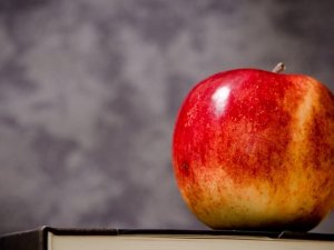 Sāksies pieteikšanās vasaras nometnei Laurenču sākumskolā