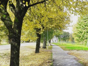 Šonedēļ Siguldas novadā – „Edvarda Grīga sonāšu vakars”, bezmaksas sporta nodarbības un zelta rudens