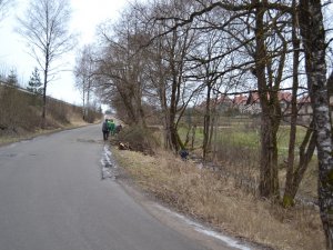 Grāvju tīrīšanas laikā Noliktavas ielā izzāģēs mazvērtīgos kokus