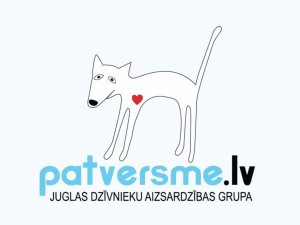 Patversmē nogādāti divi suņi, aicina atsaukties saimniekus