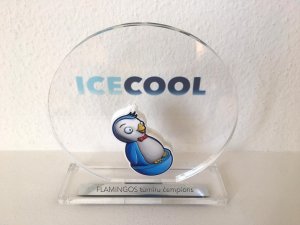 Tiks noteikts labākais galda spēles „Ice cool” spēlētājs