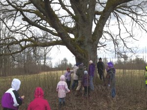 Mores pagastā notiks pavasara tradīciju radošās darbnīcas 