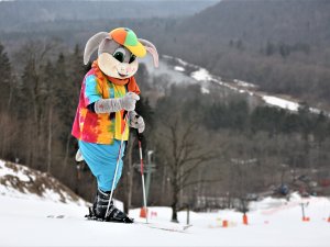 Aktuālā informācija par slēpošanas iespējām Siguldā un apkārtnē