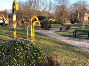 Siguldas apstādījumos uzsākta 10 000 atraitnīšu stādīšana