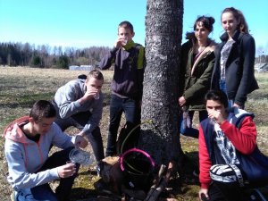 Mores pamatskolas skolēni bauda pašu tecinātas bērzu sulas