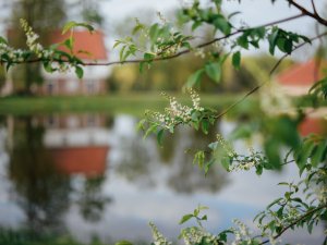 Šonedēļ Siguldas novadā – Mātes dienas pasākumi, koncerti un aizraujošas sporta sacensības
