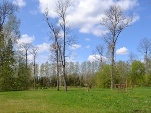 Pašvaldība aicina novadniekus izteikt viedokli par Saules parka attīstību