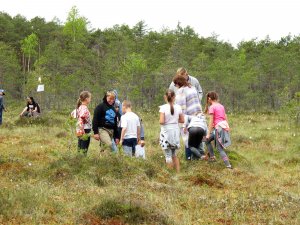 Mores pamatskolā aizvadīta Meža diena