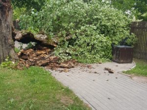 Stiprā vēja un negaisa laikā aicina uzmanīties no lūstošiem kokiem