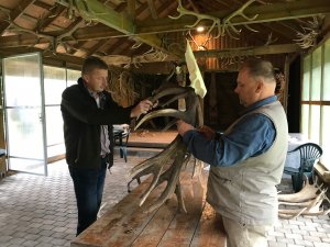 Morē notiks briežu ragu vērtēšanas sacensības 