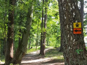 Fischer Slēpošanas centrā marķētas velobraukšanas un skriešanas trases