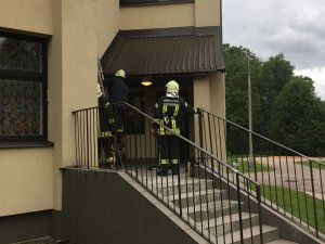 Bērnudārzā „Tornīši”​ glābēji likvidējuši lapseņu pūzni