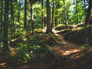 Novada teritorijā joprojām atrodama sprādzienbīstama munīcija