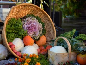 23.septembrī notiks Rudens gadatirgus