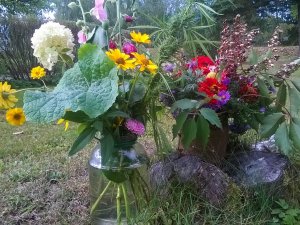 Allažu pamatskolā apskatāma rudens ziedu izstāde