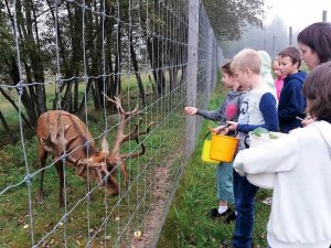 Mores pamatskolas Gada klase viesojas Mores Safari parkā