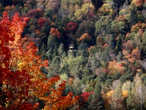 Šonedēļ Siguldas novadā: „Gada balva izglītībā”, „Siguldas kalnu maratons” un citi pasākumi