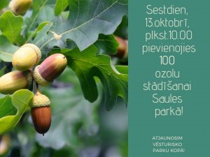 Pašvaldība aicina novadniekus piedalīties 100 ozolu stādīšanā Saules parkā