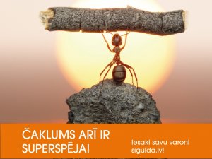 Meklējam Siguldas novada supervaroņus – „Siguldas novada Gada novadniekus 2018”