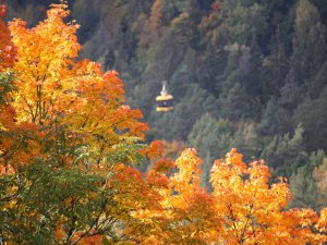 Šonedēļ Siguldas novadā: Siguldas pusmaratons, Sonāšu vakars un citi pasākumi