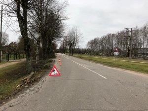 Informācija par koku vainagu veidošanu Siguldā