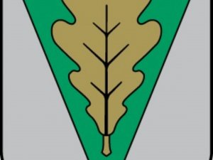 Ar dziesmām, dejām un atmiņu stāstiem tiks svinēti Siguldas pagasta svētki