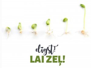 Siguldas Biznesa inkubatorā notiks informatīvās stundas