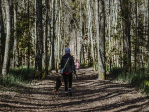 Pārgājienā varēs iepazīt Gaujas Nacionālā parka ielejas un gravas