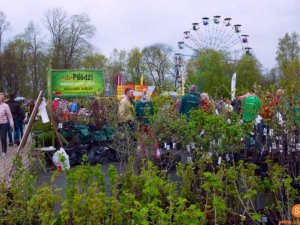 Notiks Latvijas Stādu parāde; plānoti satiksmes ierobežojumi