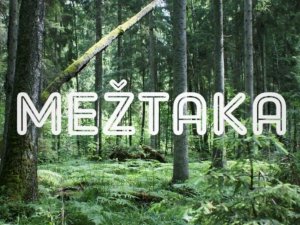 Aicina piedalīties pārgājienu takas „Mežtaka” ekspedīcijā Siguldā