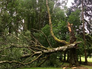 Stiprais vējš un negaiss Siguldā nav nodarījis būtiskus postījumus