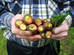 Biedrība „Cerību spārni” piedalās projektā „Pats savam saimes galdam”