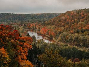 Šonedēļ Siguldas novadā: balets “Karmenas svīta”, itāļu pianista Džulio Bidau koncerts un citi pasākumi