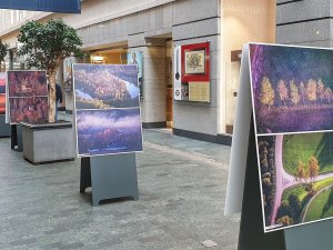 Izstādes “Siguldas ainavas un faktūras” darbus atdāvinās sabiedriskām iestādēm