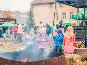 Aizvadīts otrais zaļā dzīvesveida festivāls “GreenFest‘19” 